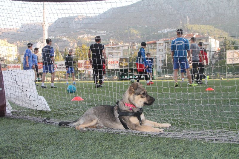 2925fef6-6052-4fc7-b581-f330cc1e3f77