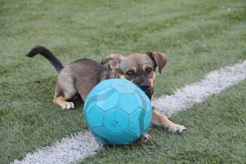 7f06c108-ff73-46db-b9b6-168a76a1e88b